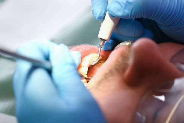 Best Emergency Orthodontic Repairs in Boulevard Gardens, FL